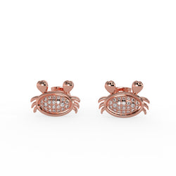 Sterling Silver Earring For Women