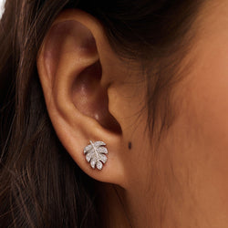 Sterling Silver Earring_ 31