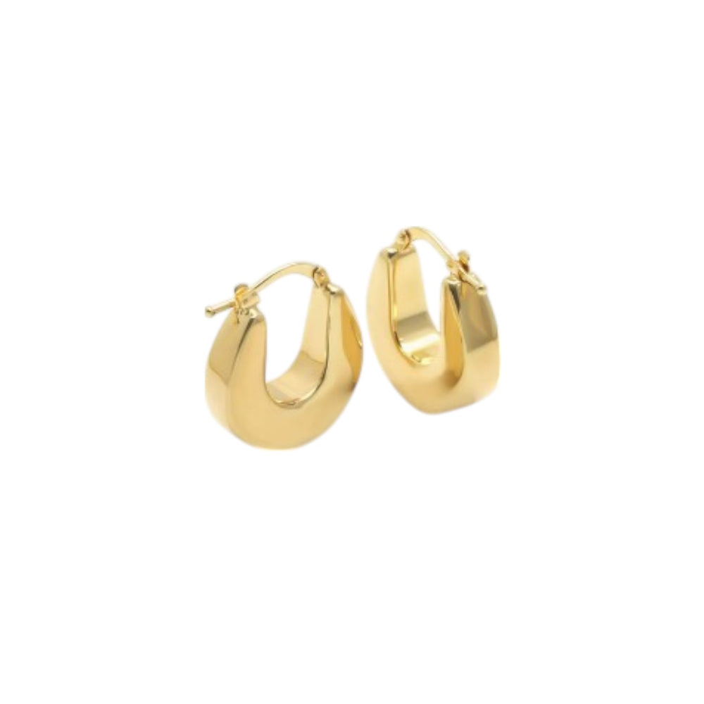 Sterling Silver Earring 