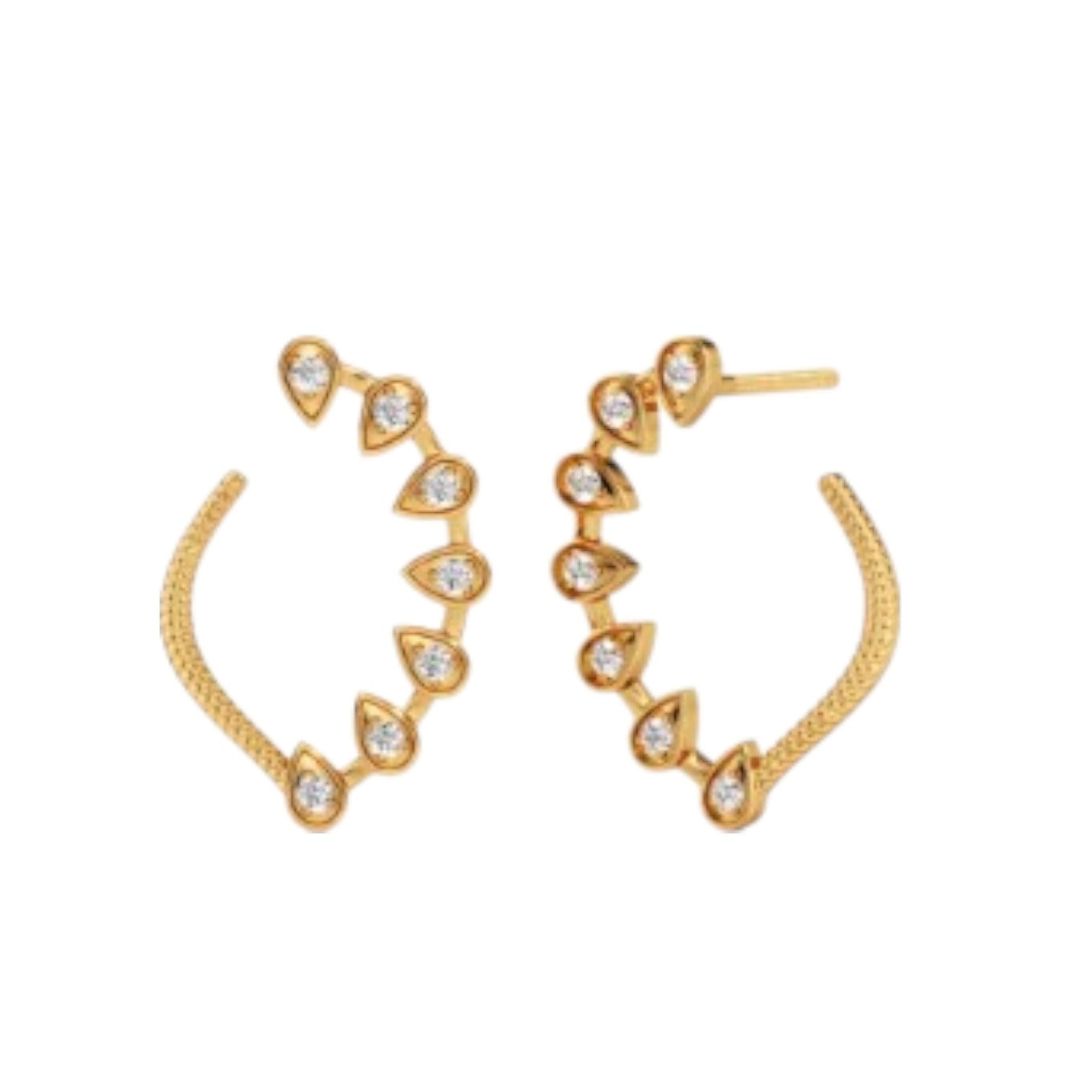 Sterling Silver Earring 