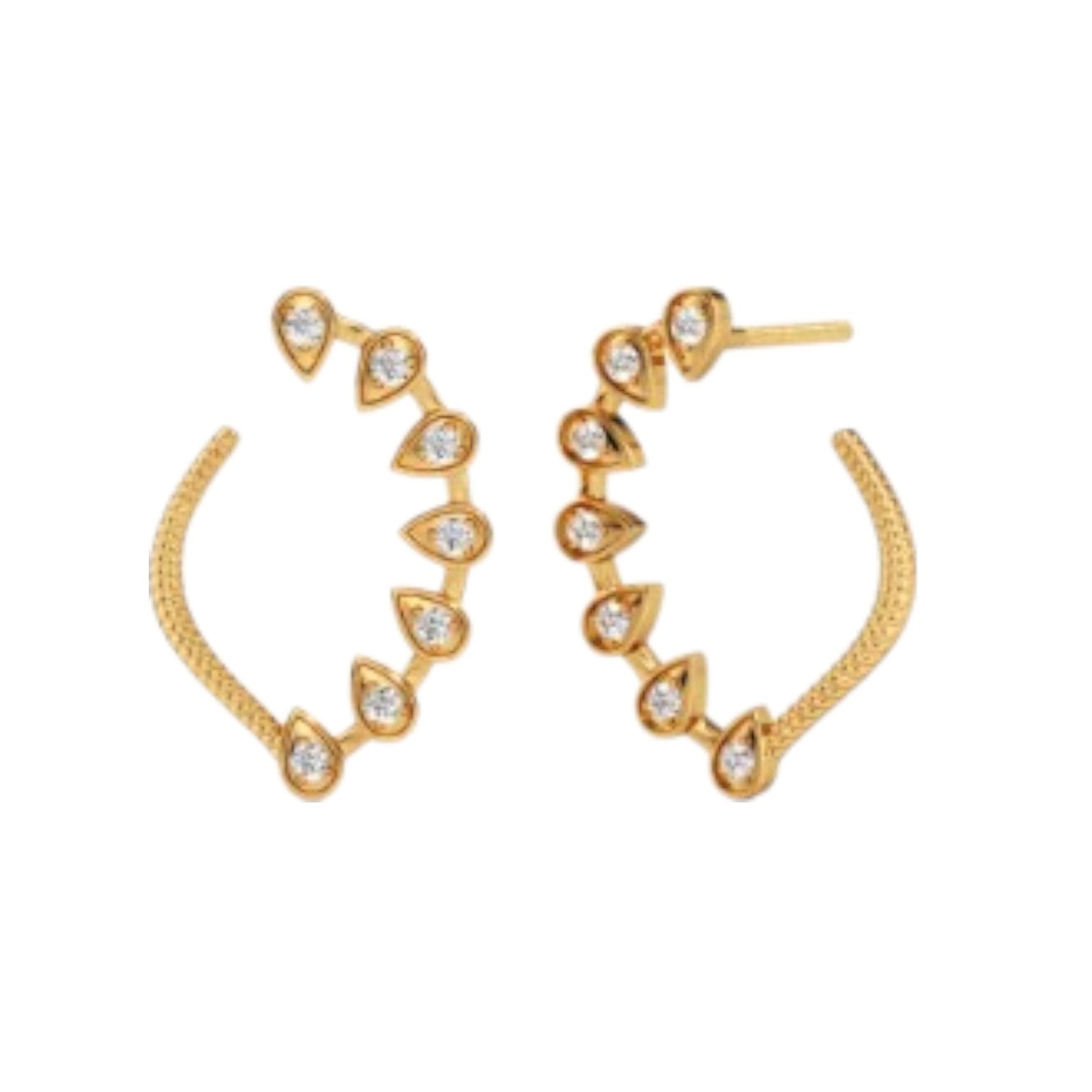 Sterling Silver Earring 