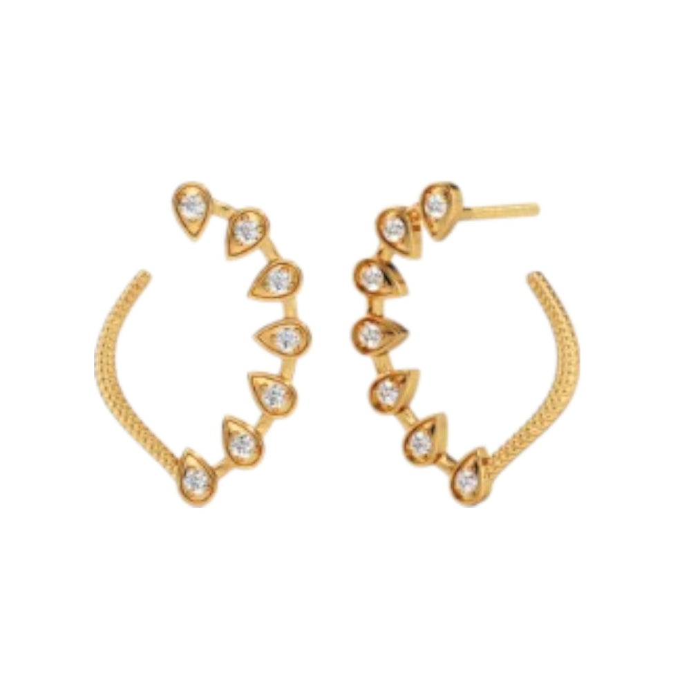 Sterling Silver Earring 