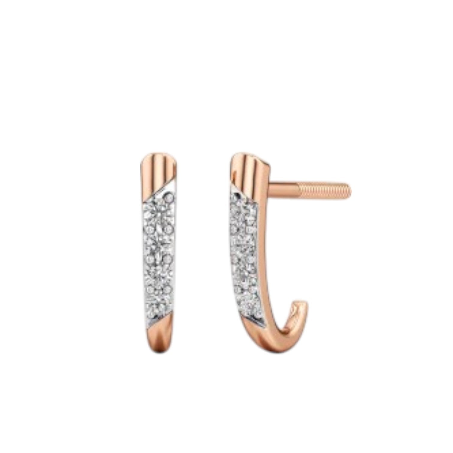 Sterling Silver Earring 