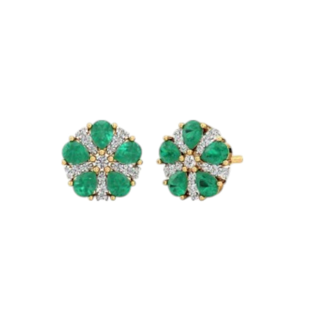 Sterling Silver Earring 
