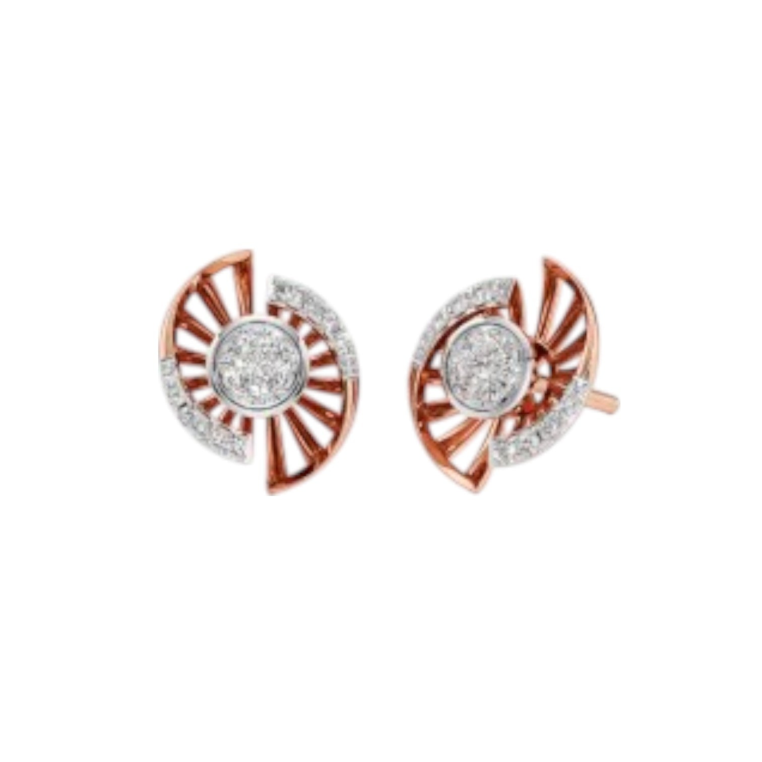 Sterling Silver Earring 