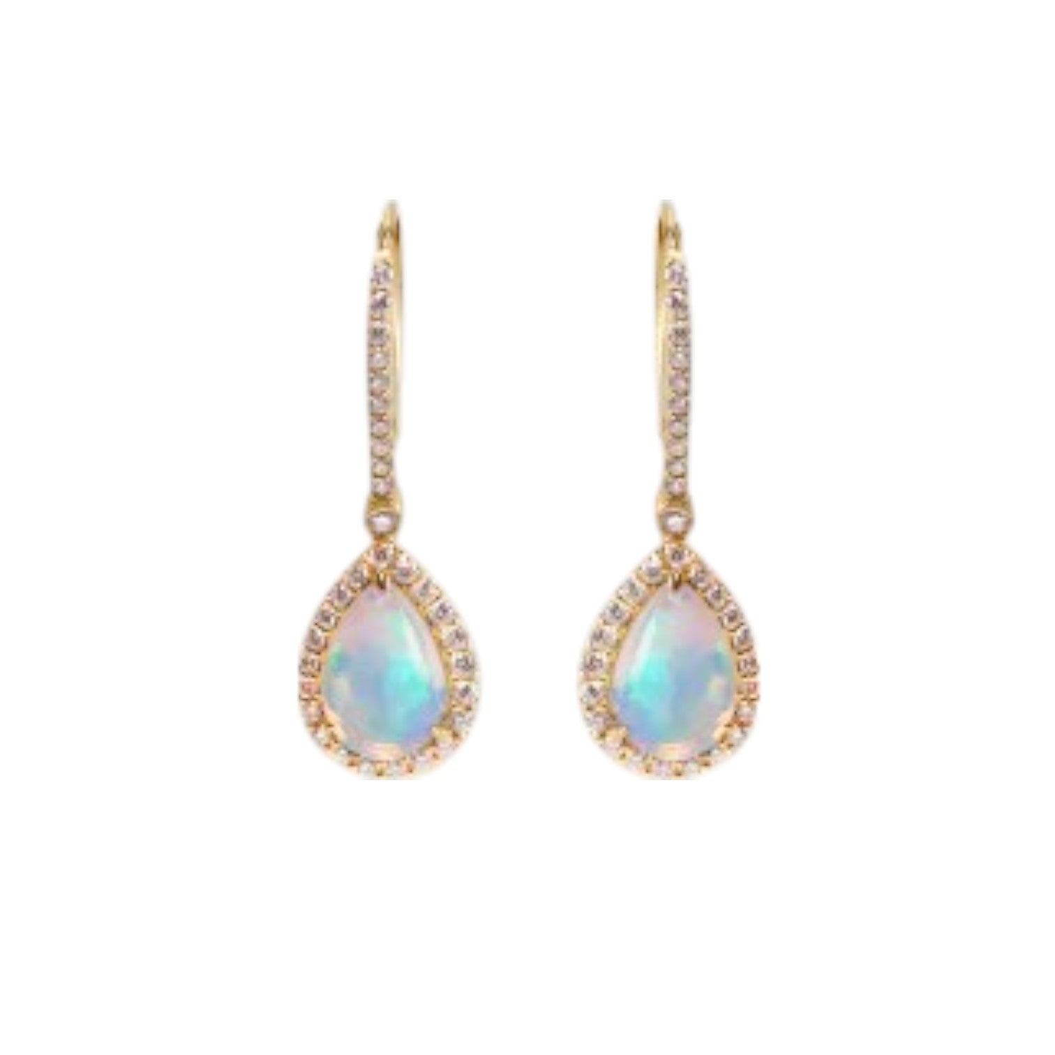 Sterling Silver Earring 