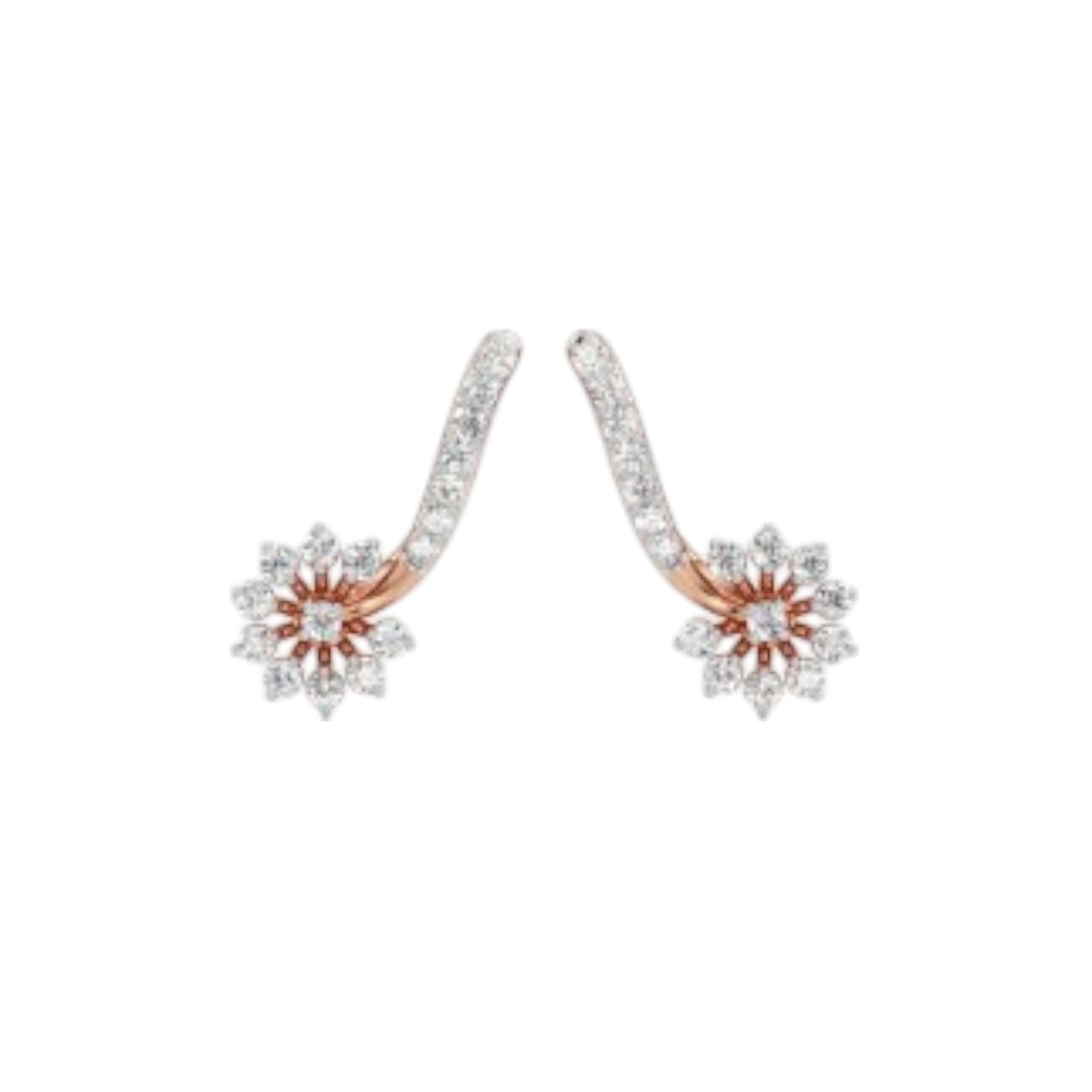 Sterling Silver Earring 