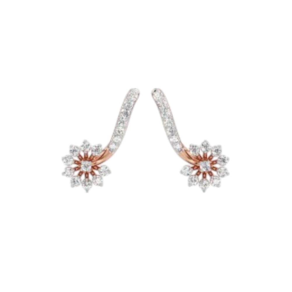 Sterling Silver Earring 