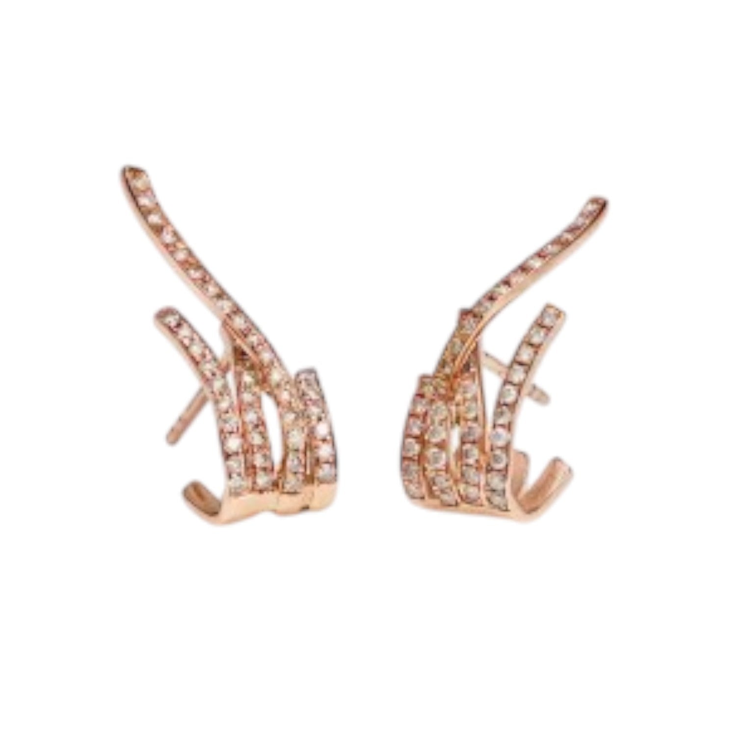 Sterling Silver Earring 