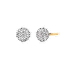 Sterling Silver Earring 